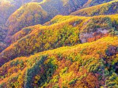 -天女山森林公园