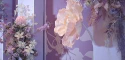 -厦门康莱德酒店·宴会厅婚宴