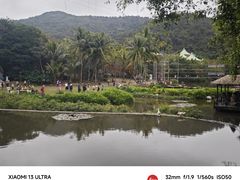 -呀诺达热带雨林