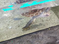 -鸿通城购物中心