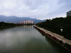 -光明港公园