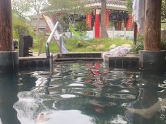 -观唐（国际）度假村温泉