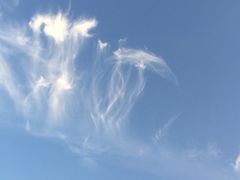 iphone_upload_pic-巴黎贝甜(五道口店)