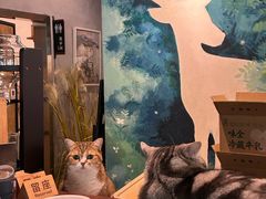 -咖法森林·咖啡  酒吧(天河店)