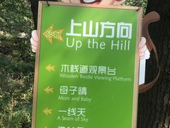 -大岭沟猕猴桃谷风景区