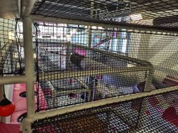 -marspace马斯派超级运动公园(正弘汇店)