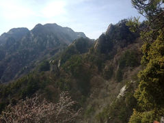 -王顺山国家森林公园