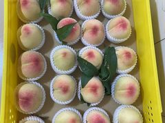 -老袁家蜜桃农场·阳山水蜜桃