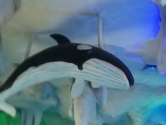 -石家庄海洋公园