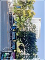 -深圳市宝安区妇幼保健院