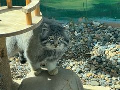 -青藏高原野生动物园