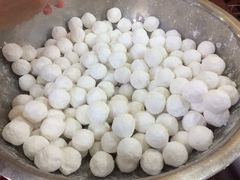 iphone_upload_pic-海丝金凤(金鱼店)