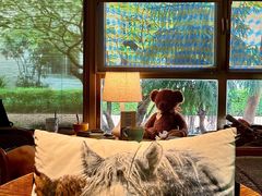 -咖法森林·咖啡  酒吧(天河店)