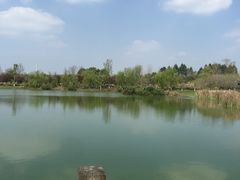 -白鹭湾湿地公园