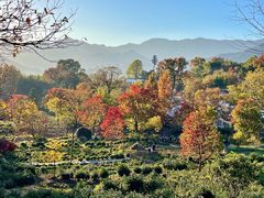 -塔川景区