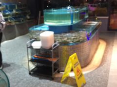水产区-蓝珊甄选海鲜自助·火锅大排档(近阿那亚店)