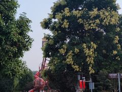 -枫香湖儿童公园