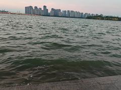 -金鸡湖景区