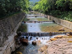 -广州白江湖森林公园