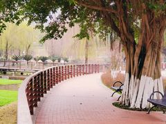 -沐仙湖湿地公园