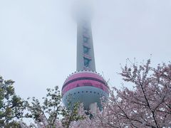 -东方明珠广播电视塔