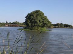 -梁鸿国家湿地公园