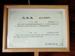 -鼓浪屿钢琴博物馆