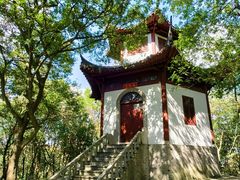 -上海佘山国家森林公园天马山园