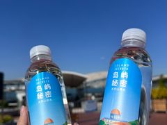 -鼓浪屿内厝澳码头(轮渡站)