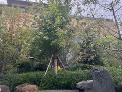 -清河半岛温泉度假酒店