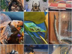 -上海昆虫博物馆