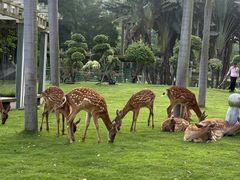 -东南花都花博园