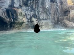 -汤山一号温泉度假区