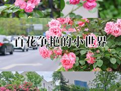 -天鹅湖体育公园