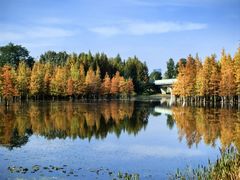 -白鹭湾湿地公园