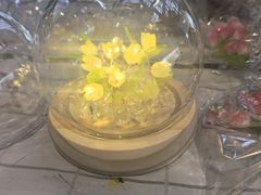 -奔驰波士福达(石景山店)