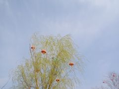 -南阳卧龙岗武侯祠