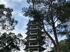 -白云山风景名胜区