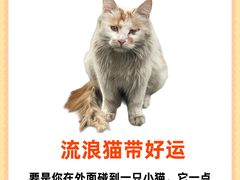 -守诺宠物医院·眼科· 特色牙科·异宠专科(虹口店)