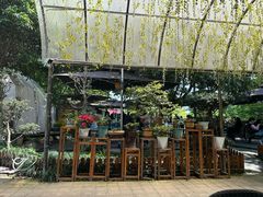 -张鸟园农家乐(张鸟园店)