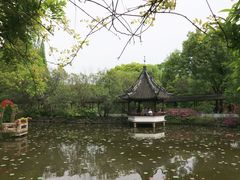 -上海醉白池公园