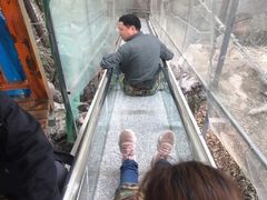 -佛爷洞旅游景区