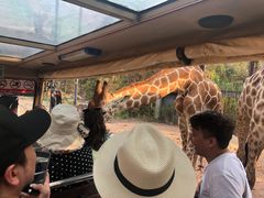 -清迈夜间动物园