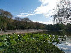 -东北师范大学(净月大街校区)