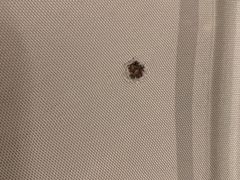 -上海老站(徐家汇店)
