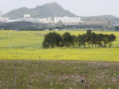 -光明小镇欢乐田园