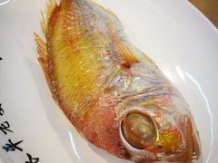 -长平老姿娘夜粥(平东一街店)