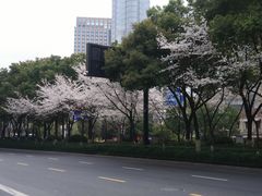 -杭州市第三人民医院