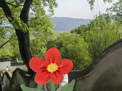 -苏州上方山国家森林公园