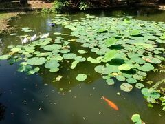 -观唐（国际）度假村温泉